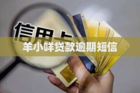 羊小咩贷款能提现吗？了解一下详情