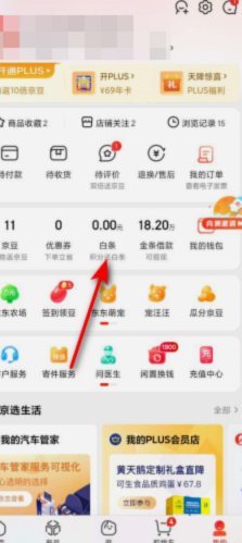 京东白条延期还款怎么操作