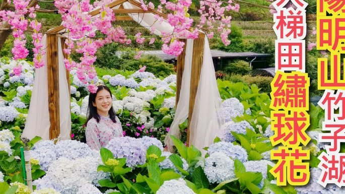 拿去花卡如何使用