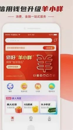 羊小咩为何只有额度限制？