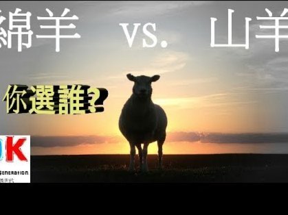 羊小花靠谱吗？看平台背后的风险评估