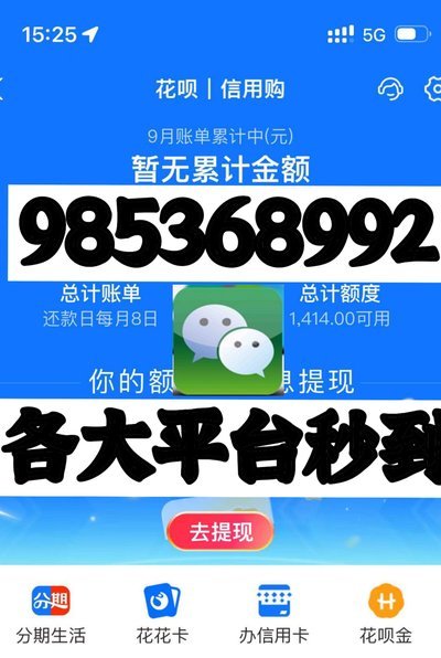 羊小咩额度怎么套出来使用