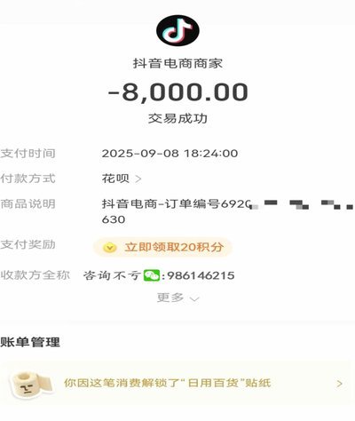 白条取现能即时还款吗