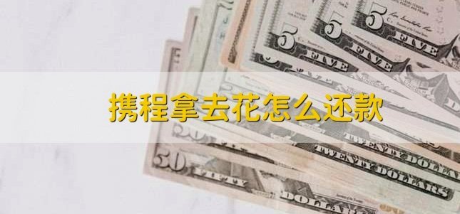 携程上面的拿去花怎么用