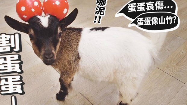 羊小咩便荔卡包额度怎么提出来