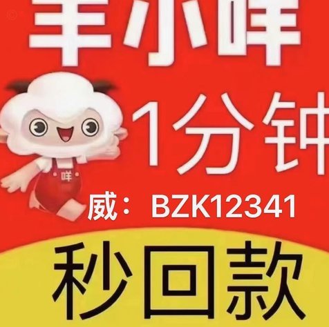 羊小咩额度商家