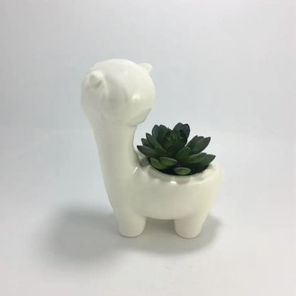 羊小咩购物平台
