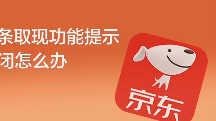 白条使用指南
