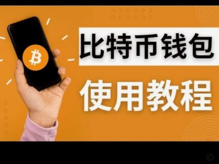 白条资金如何高效管理