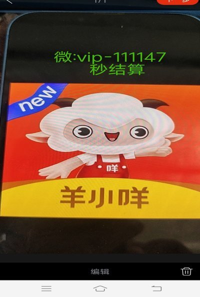羊小咩理财项目到账了吗？