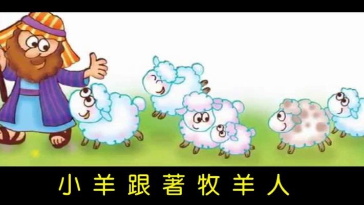 羊小咩钱包提现指南