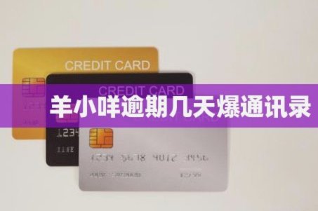 羊小咩怎么借钱出来的方式
