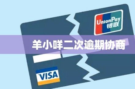 羊小咩怎么借钱出来的方式