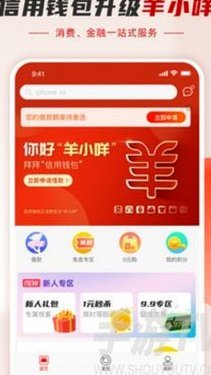 羊小咩取现额度是什么