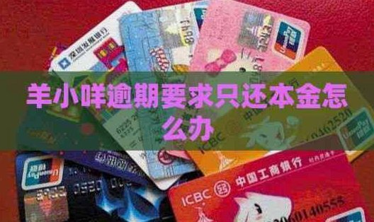 羊小咩：价值崩塌的隐喻