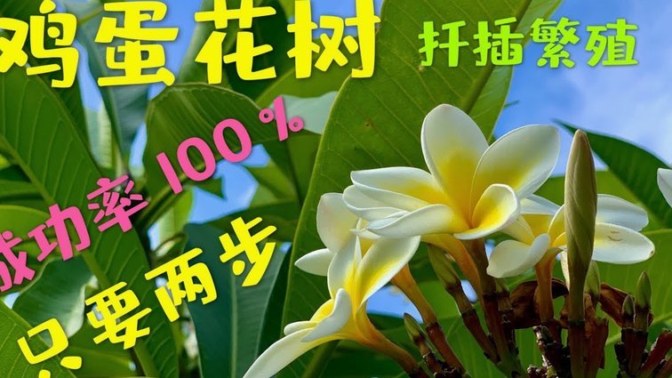 拿去花套现安全吗可靠吗