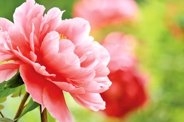 花呗如何安全提现