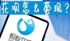 天猫套花呗商家