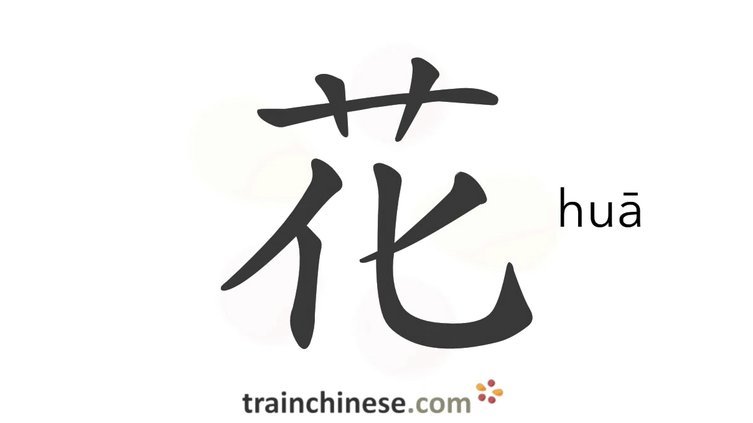 去哪网拿去花上不上征信