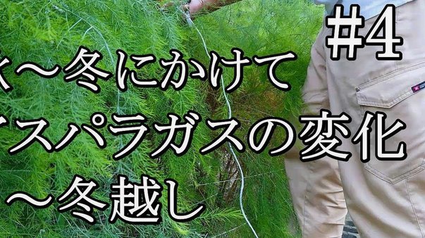 携程分期怎么提前还款