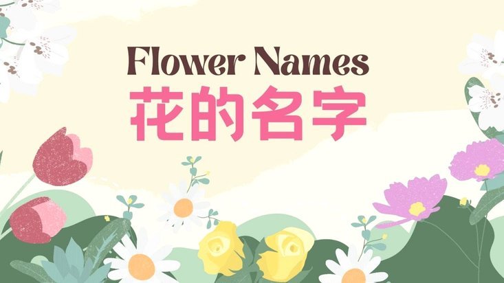 花呗平台正规吗 取消了吗怎么办