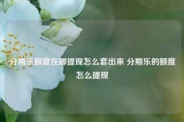 分期乐额度提现失败怎么办？