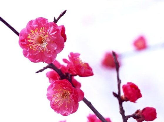 花呗秒到：瞬时信用:\/\/\/支付革命