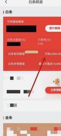 白条消费额度怎样提现