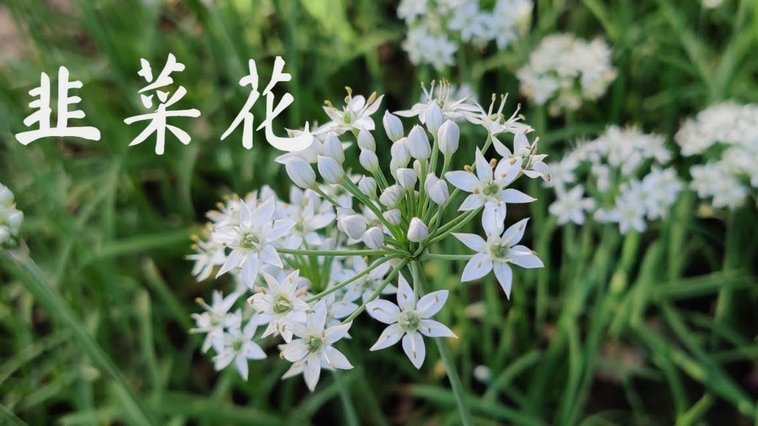 用花呗套付款可靠吗? 怎么操作