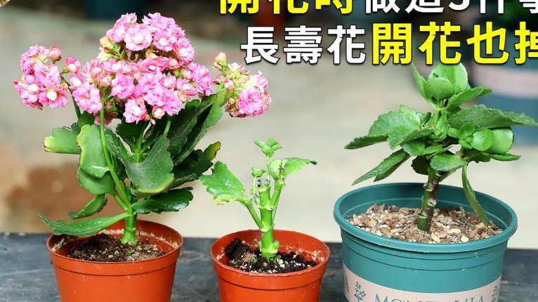 拿去花套现5000几个点利息啊